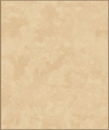 Athenic India wallpaper design 6 — pattern swatch