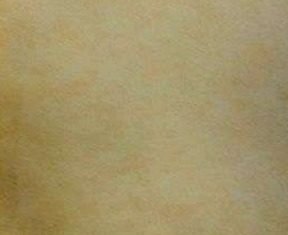 Plain wallpaper design 472215